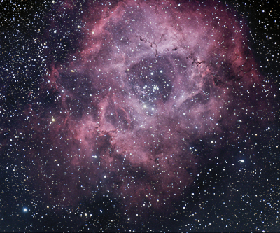 Rosette Nebulae